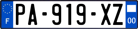 PA-919-XZ