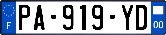 PA-919-YD