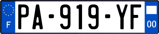 PA-919-YF