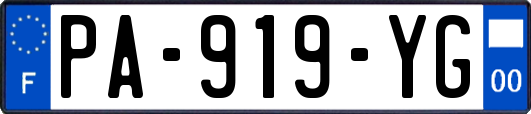PA-919-YG