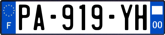 PA-919-YH