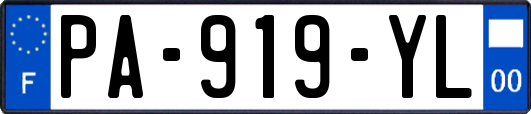 PA-919-YL