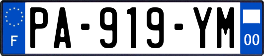 PA-919-YM