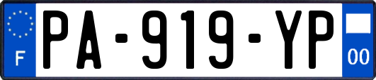PA-919-YP