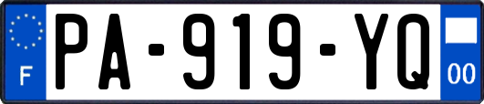 PA-919-YQ