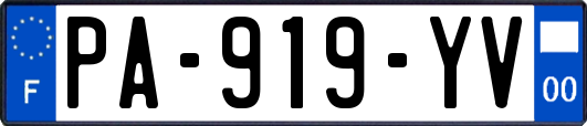 PA-919-YV