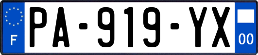 PA-919-YX