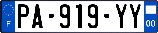 PA-919-YY