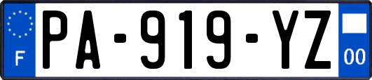 PA-919-YZ