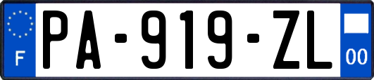 PA-919-ZL