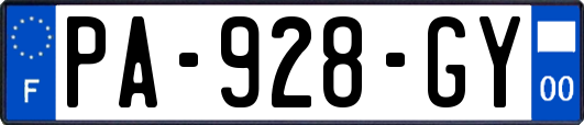 PA-928-GY