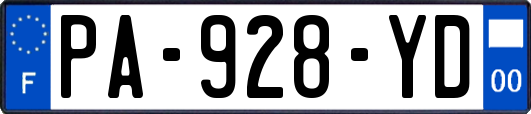 PA-928-YD
