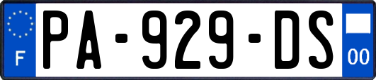 PA-929-DS