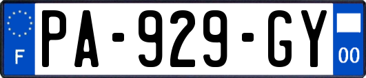 PA-929-GY