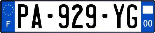 PA-929-YG
