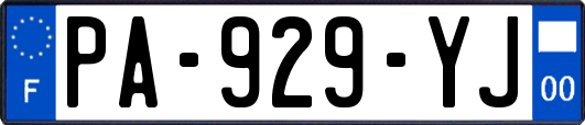 PA-929-YJ