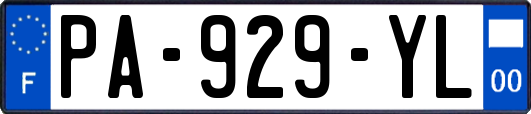PA-929-YL