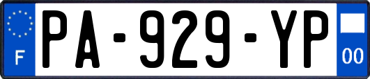 PA-929-YP
