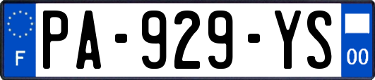 PA-929-YS