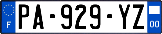 PA-929-YZ