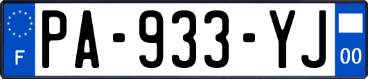 PA-933-YJ