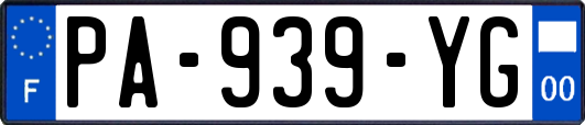 PA-939-YG