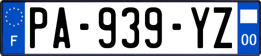 PA-939-YZ