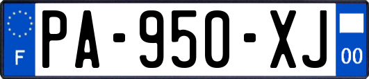 PA-950-XJ
