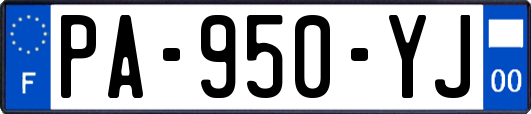 PA-950-YJ