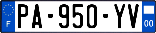 PA-950-YV