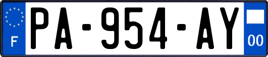 PA-954-AY