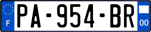 PA-954-BR