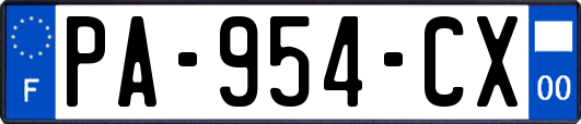 PA-954-CX