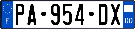 PA-954-DX
