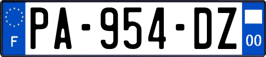PA-954-DZ