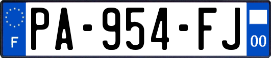 PA-954-FJ