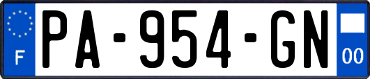 PA-954-GN