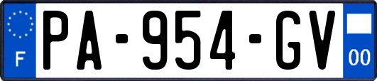PA-954-GV