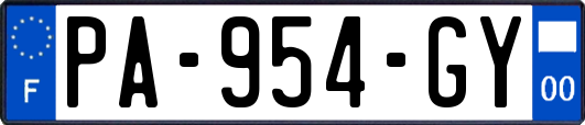PA-954-GY