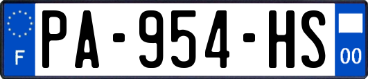 PA-954-HS