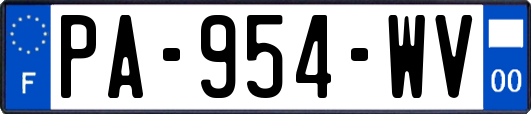 PA-954-WV