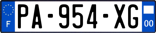 PA-954-XG