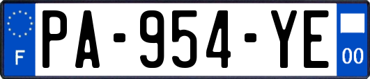 PA-954-YE