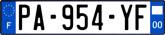 PA-954-YF