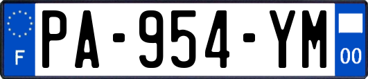 PA-954-YM