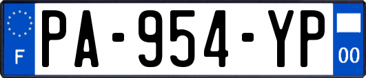 PA-954-YP