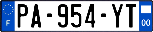 PA-954-YT