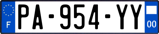 PA-954-YY