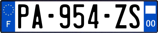 PA-954-ZS