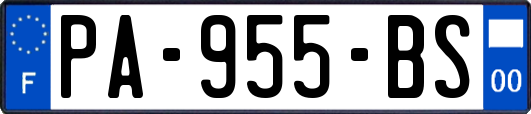 PA-955-BS